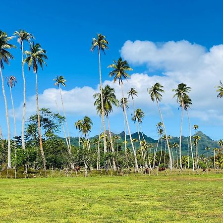 Huahine Serenity Cottage Maroe 외부 사진